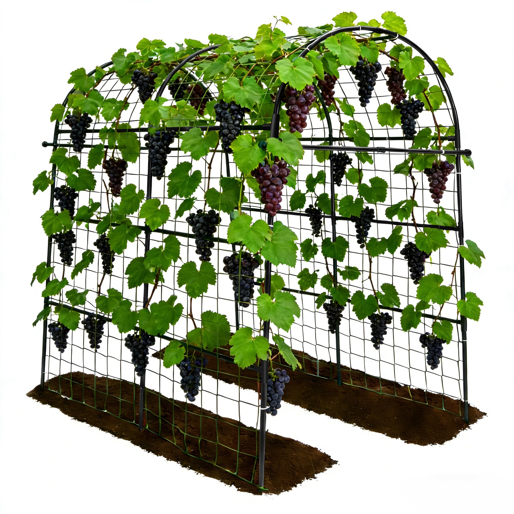 Trellume Garden Arch Trellis for Climbing Plants Outdoor - 83" H*71" W*43" L Large Rustproof Garden Trellis, Heavy Duty Grape Trellis, Tunnel Trellis for Melons, Pumpkins, Cucumbers, Peas(Black)