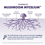 Host Defense Mushrooms Lion's Mane - Supplement Capsules for Brain Health Support - Mushroom Support for Focus & Memory Function - Immune & Nervous System Supplement - 60 Capsules