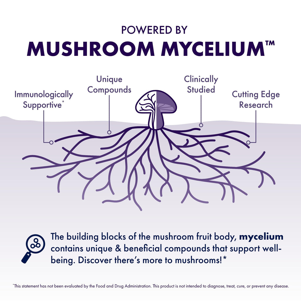 Host Defense Mushrooms Lion's Mane - Supplement Capsules for Brain Health Support - Mushroom Support for Focus & Memory Function - Immune & Nervous System Supplement - 120 Capsules