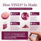 VINIA Piceid Resveratrol Supplement Capsules. Increases Blood Flow and Nitric Oxide. Blood Pressure and Heart Health Support | Antioxidant from Red Grapes | Non-GMO, 30 Count