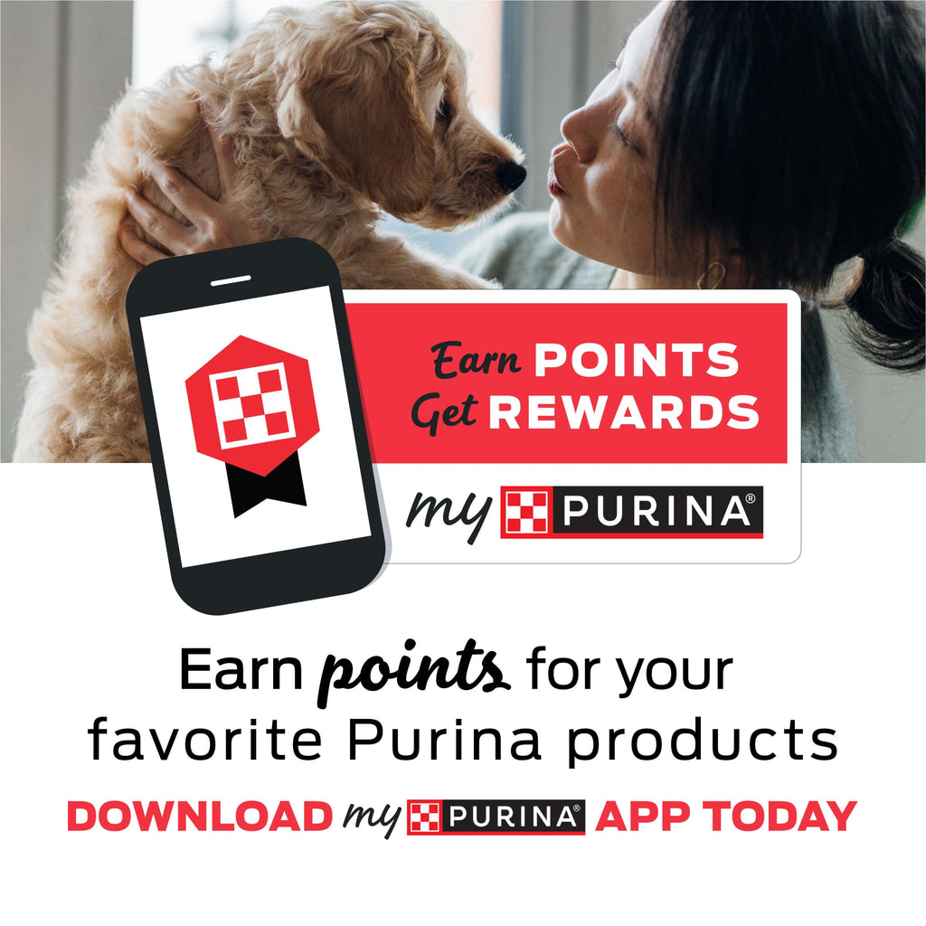 Purina Moist & Meaty Soft Dog Food Pouches, 36 ct