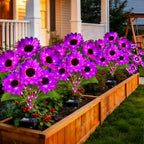 ANGMLN Solar Garden Lights 6 Pack 36 Solar Sunflower Lights, Waterproof Solar Purple Flower Light for Outdoor Decoration, Decorative Stakes for Yard,Landscape,Patio,Gifts for Women