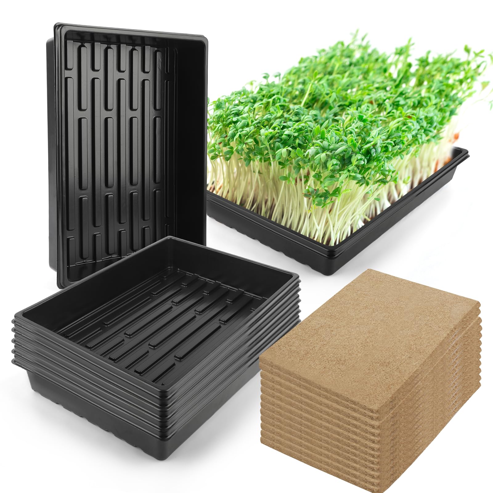 6 Pack Microgreens Growing Kit, Microgreens Trays for Indoor Gardening