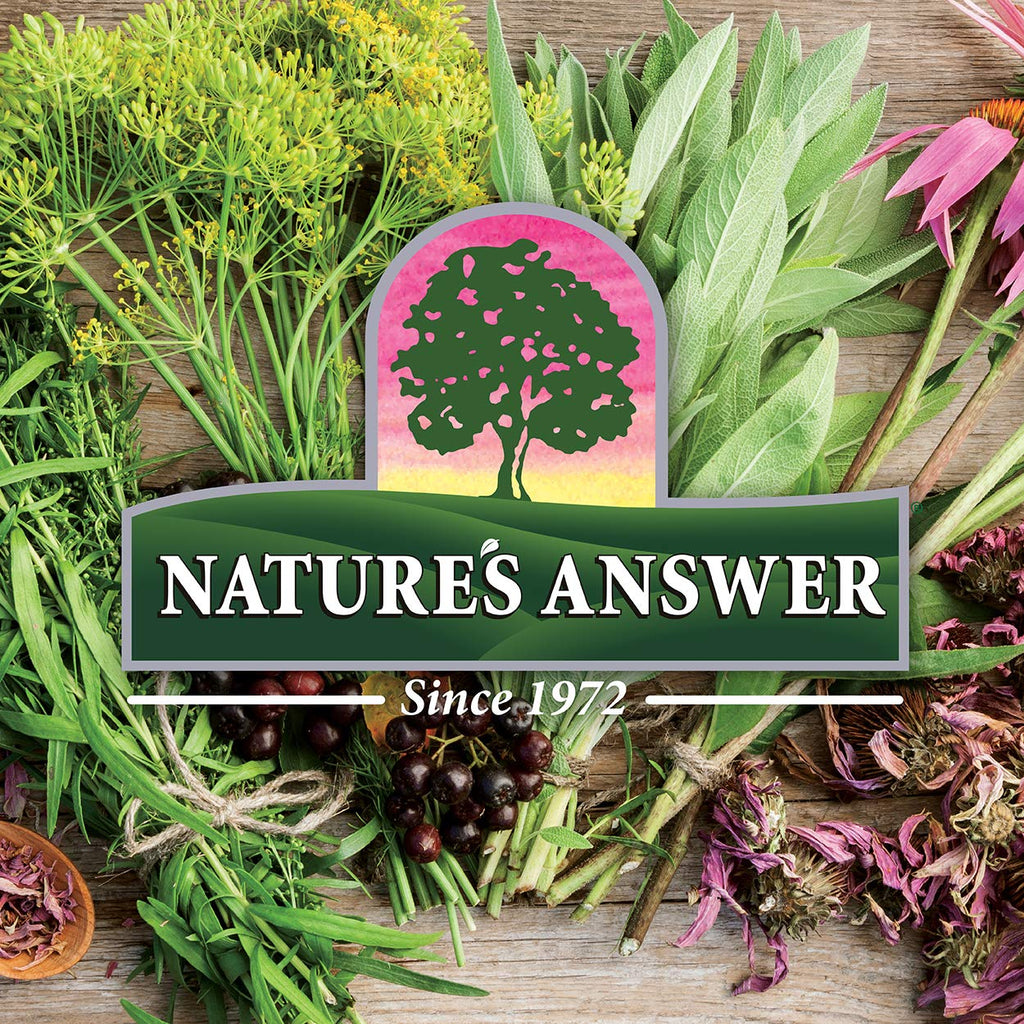 Nature's Answer Bacopa Monnieri | Helps Improve Memory | NON-GMO| No Preservatives | Gluten-Free, Vegan & Vegetarian – 500mg (90 Capsules)