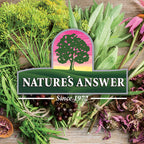 Nature's Answer Bacopa Monnieri | Helps Improve Memory | NON-GMO| No Preservatives | Gluten-Free, Vegan & Vegetarian – 500mg (90 Capsules)