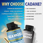 Organic Cadane 2 Packs Irish Sea Moss Powder Capsules & VitaminC, D3, Zin.C, Bladderwrack, Burdock Root, Apple Cider, Elderberry, Pepper - Supports Immune System & Overall Health