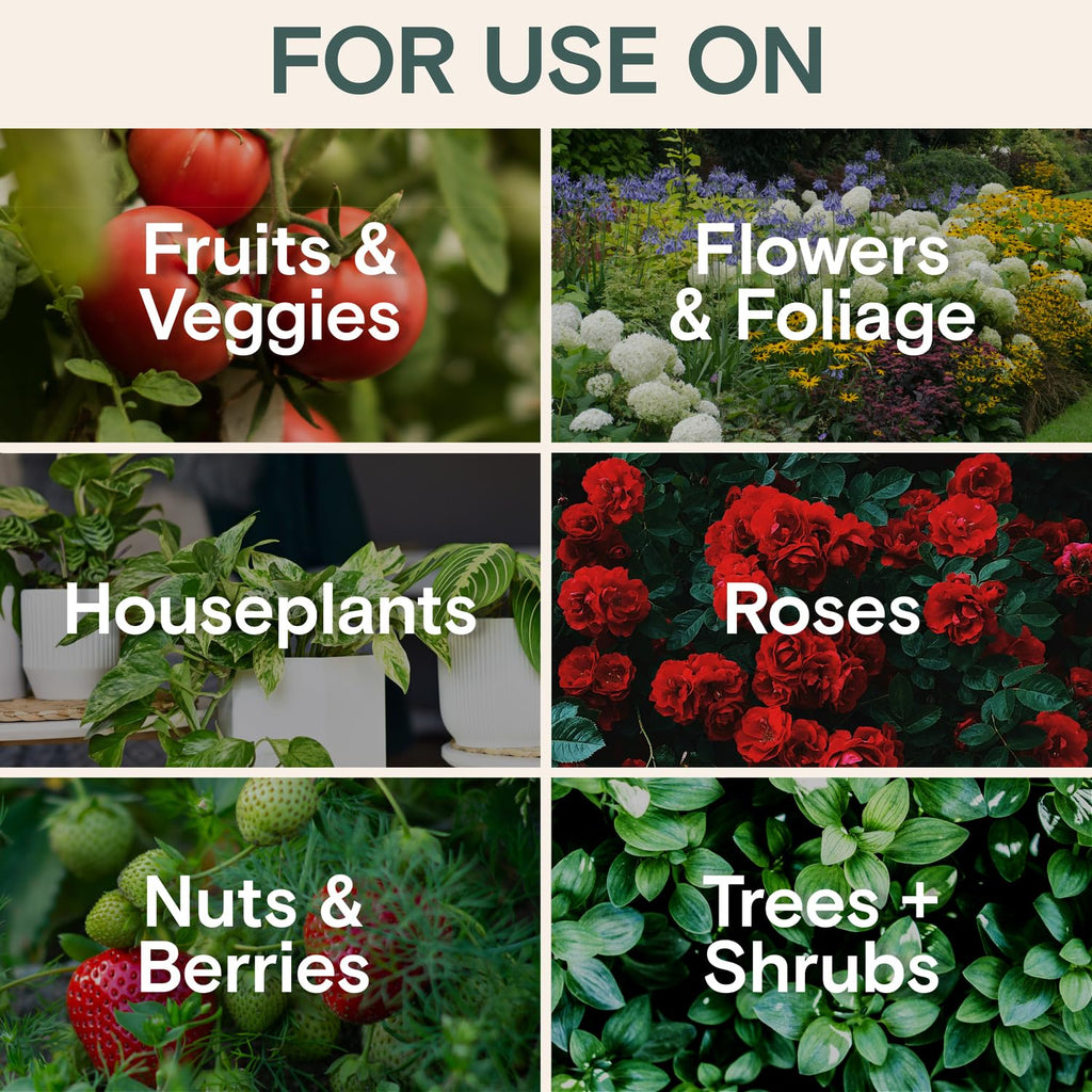 Organic Insecticide & Fungicide for Plants — Indoor/Outdoor Protection to Control Powdery Mildew, Spider Mites, Aphids, Whiteflies, Fungus Gnats — Safe on Vegetables & Lawns — Concentrate Spray, 16oz