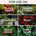 Organic Insecticide & Fungicide for Plants — Indoor/Outdoor Protection to Control Powdery Mildew, Spider Mites, Aphids, Whiteflies, Fungus Gnats — Safe on Vegetables & Lawns — Concentrate Spray, 16oz