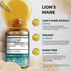 Lions Mane Liquid - USDA Certified Organic Lions Mane Supplement - Brain Support, Energy, Memory & Focus - Sugar & Alcohol-Free Lion's Mane Mushroom Extract 144,000 mg / Bottle, 4fl oz, 4 Month Supply
