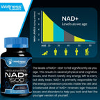 WELLNESS LABSRX Liposomal NAD Supplement, 1500mg - NAD Resveratrol Supplement for Women and Men, NAD+ Support Cellular Health, Energy & Anti Aging - 2 Pack
