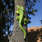 SHAODIE Garden Lizard Statue Simulation Lizard Statue Decorative Resin Animal Sculpture Outdoor Garden Yard Lawn Art Deco Gift 10.24 inch Hand Painted