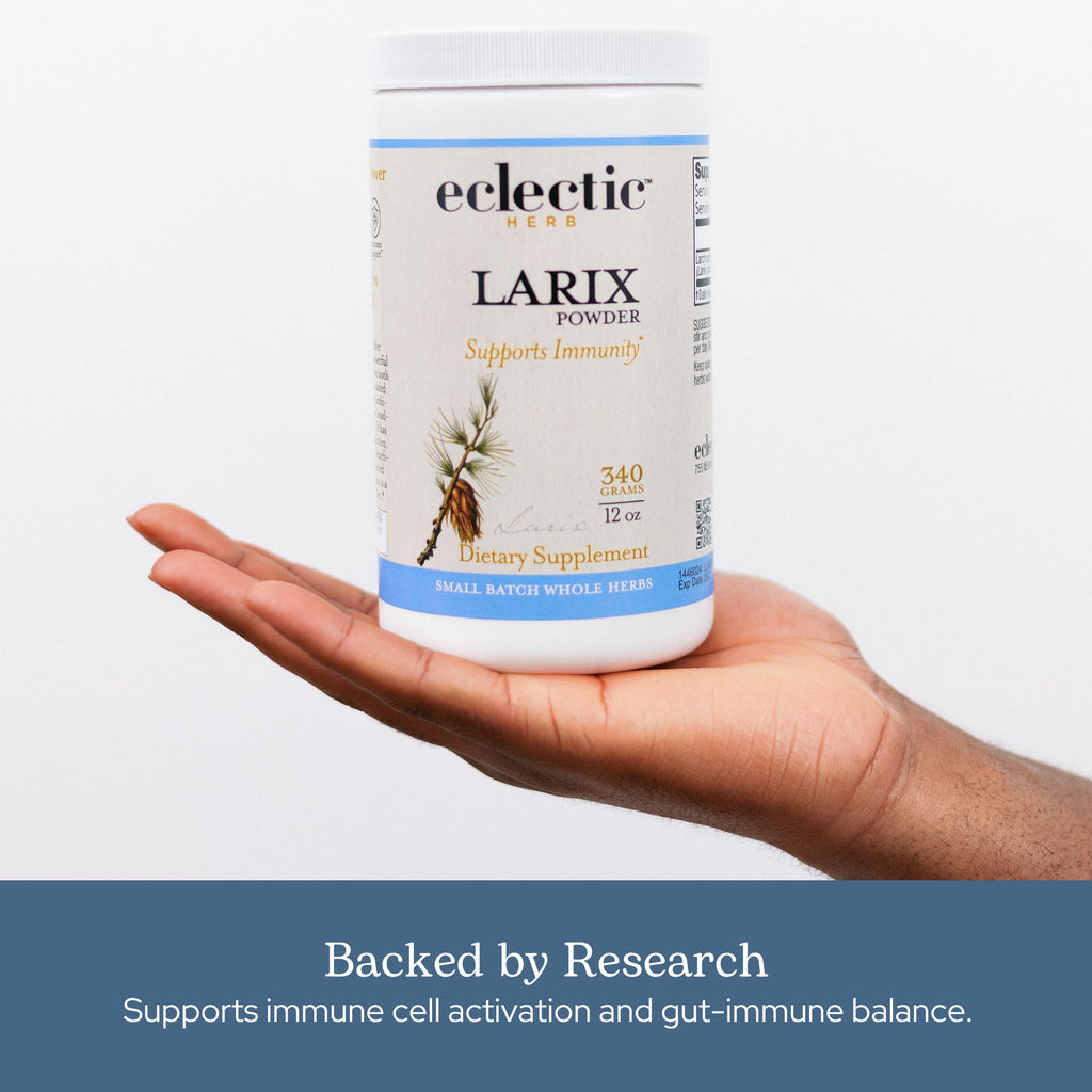 Eclectic Herb - Organic Larix Powder | Natural Immune + Gut Health Support | Larch Laricina | Immunity & Gut Flora Support | Safe for Kids & Adults | Vegan, Gluten Free, Non-GMO (3 oz | 85 g)