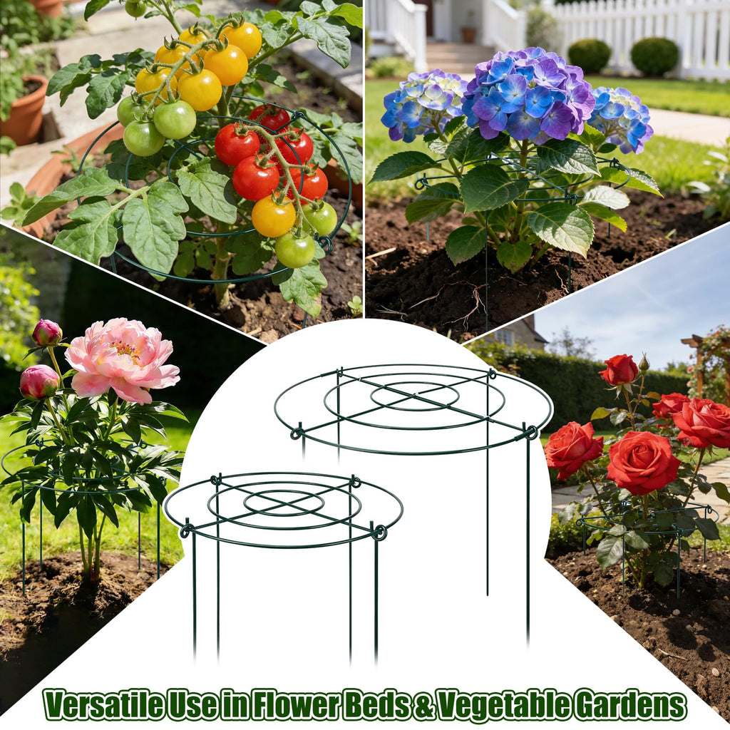 8 Pack Peony Cages and Supports, 11.5 x 20 Inch Plant Support Cage Set