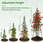 Adjustable Garden Trellis for Climbing Plants, 6FT Obelisk Plant Support Tower for Potted & In-Ground Vegetables, Tomatoes, Cucumbers, Vines - Easy Assembly, Indoor & Outdoor Use（2 Pack）