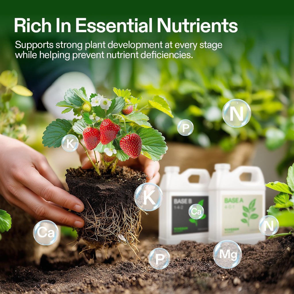 VIVOSUN Liquid Nutrients Base A & B Bundle, Set of 32oz