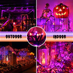 Toodour Orange & Purple Halloween Light, 131ft 350 LED Plug in String Light