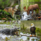 Toymany 12PCS Realistic North American Forest Animal Figurines Jungle Zoo