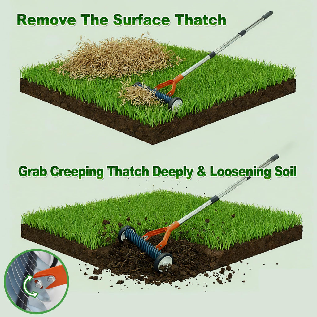 Wheeled Dethatching Rake for Lawn - 15" Heavy Duty Stainless Steel