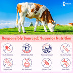 (180 Gummies) Beef Organ Supplement for Women - 5300mg Beef Liver, Kidney, Uterus & 10 More, for Hormone Balance, Menstruation, Energy, Immunity, Gut & Skin Health - 100% Grass Fed & Pasture Raise