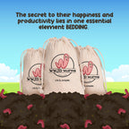 Red Wigglers Composting Worms, 1/8lb Red Worms for Composting for Gardens