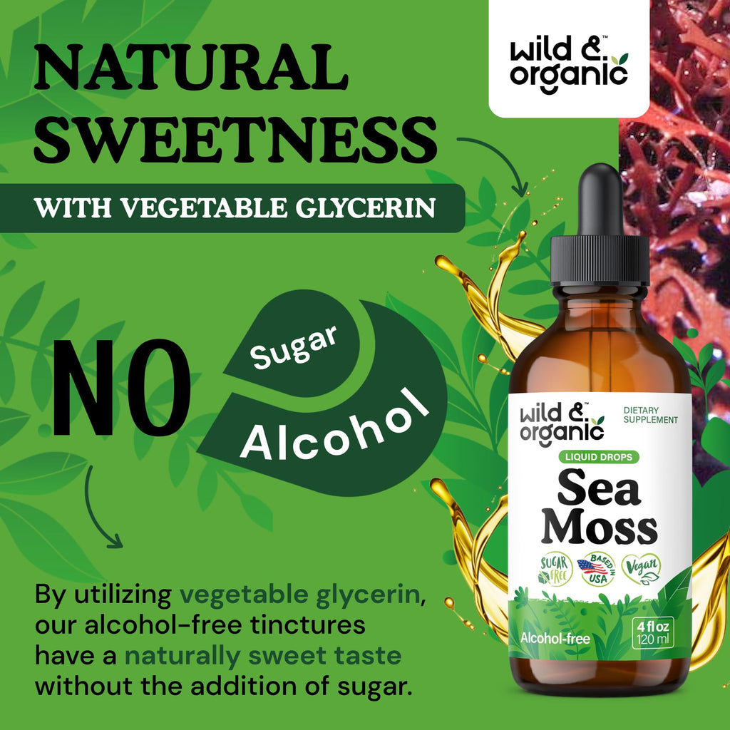 Wild & Organic Sea Moss Drops - Overall Support with Irish Seamoss and Bladderwrack - Multimineral Chondrus Crispus Tincture - Vegan, Sugar & Alcohol-Free Liquid Supplement - 4 fl oz