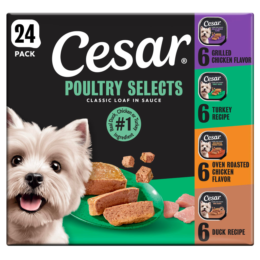 Cesar Classic Loaf in Sauce Wet Dog Food, Poultry Selects, 3.5 oz, 24 Count