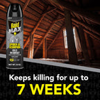 Raid Max Spider and Scorpion Killer, Kills Spiders, Scorpions, Roaches, Ants, Waterbugs, Earwigs, 12 Oz