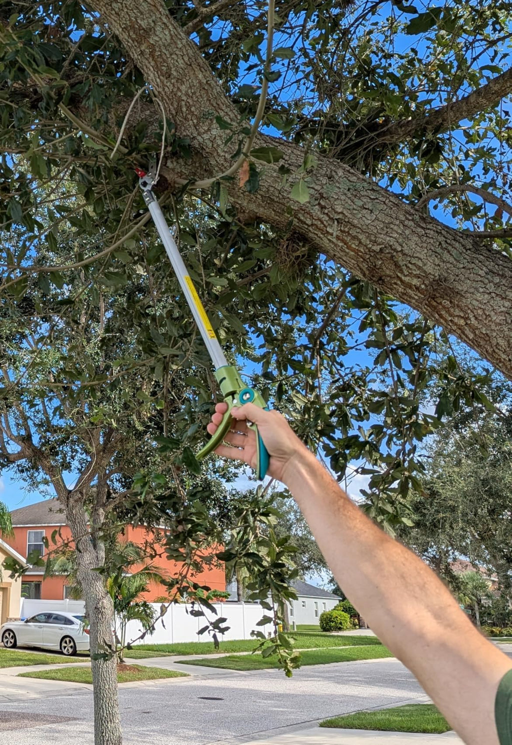 GARTOL 32 Inch Cut and Hold Pole Pruner - Lightweight Long Reach Tree Trimmer with Snip and Grip Technology, 1/2 Inch Cutting Capacity, One-Hand Use Fruit Picker for Roses, Persimmons & Tall Branches