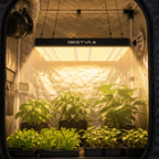 BESTVA DC1000 LED Grow Light, Full Spectrum Grow Lights for Indoor Plants