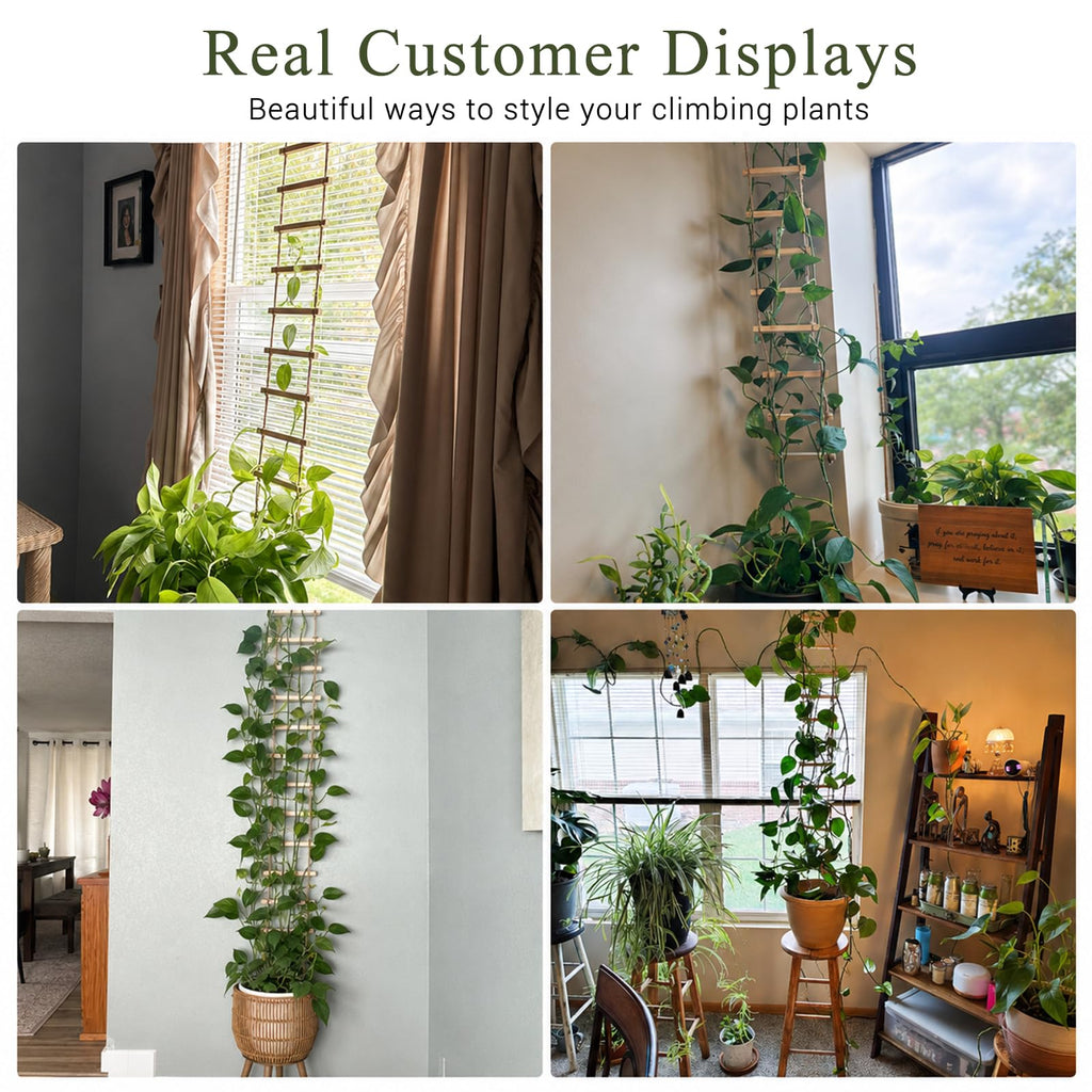 Wooden Ladder Plant Trellis for Climbing Plants – 6ft Extra Tall Indoor & Outdoor Hanging Wall Wooden Trellis Garden Plant Support, Easy to Install for Vines, Ivy, Pothos, Potted Plants