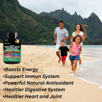Organic Irish Sea Moss Capsules 120 Count –16 in 1 Sea Moss Supplement with Black Seed Oil, Ashwagandha, Turmeric & Ginger, Bladderwrack & Burdock Root, Vitamin D3 –Organic, Vegan, Halal, Non-GMO