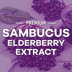 Elderberry Gummies - 3X Strength Black Elderberry Immune Support Gummy with Vitamin C, D3 and Zinc for Kids & Adults, Immune Health Support Supplement Gummy, Black Elder Berry Vitamins - 120 Gummies