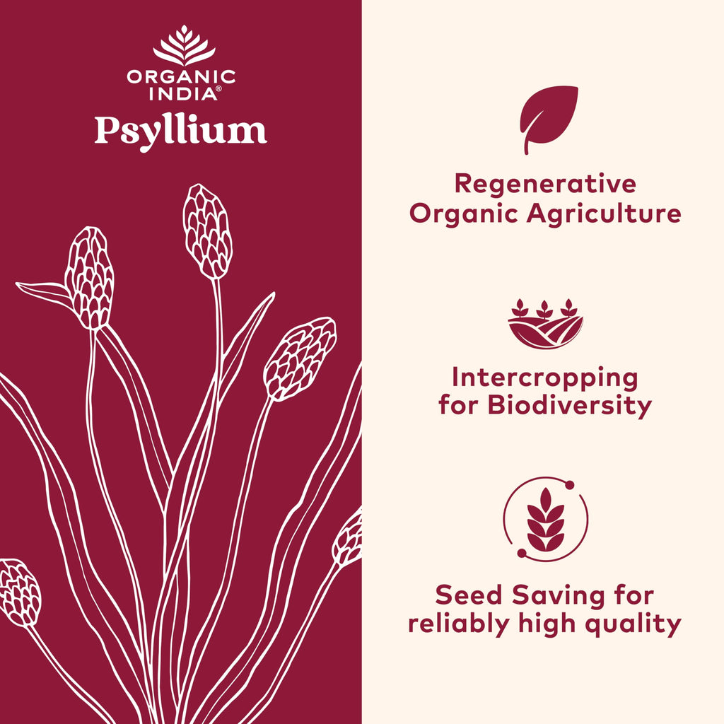 ORGANIC INDIA Psyllium Powder Organic - Fine Grain Psyllium Supplement, Digestion Support, Vegan, Gluten-Free, Non-GMO, Source of Fiber - 6 oz (Pack of 3)