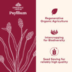 ORGANIC INDIA Psyllium Powder Organic - Fine Grain Psyllium Supplement, Digestion Support, Vegan, Gluten-Free, Non-GMO, Source of Fiber - 6 oz (Pack of 3)