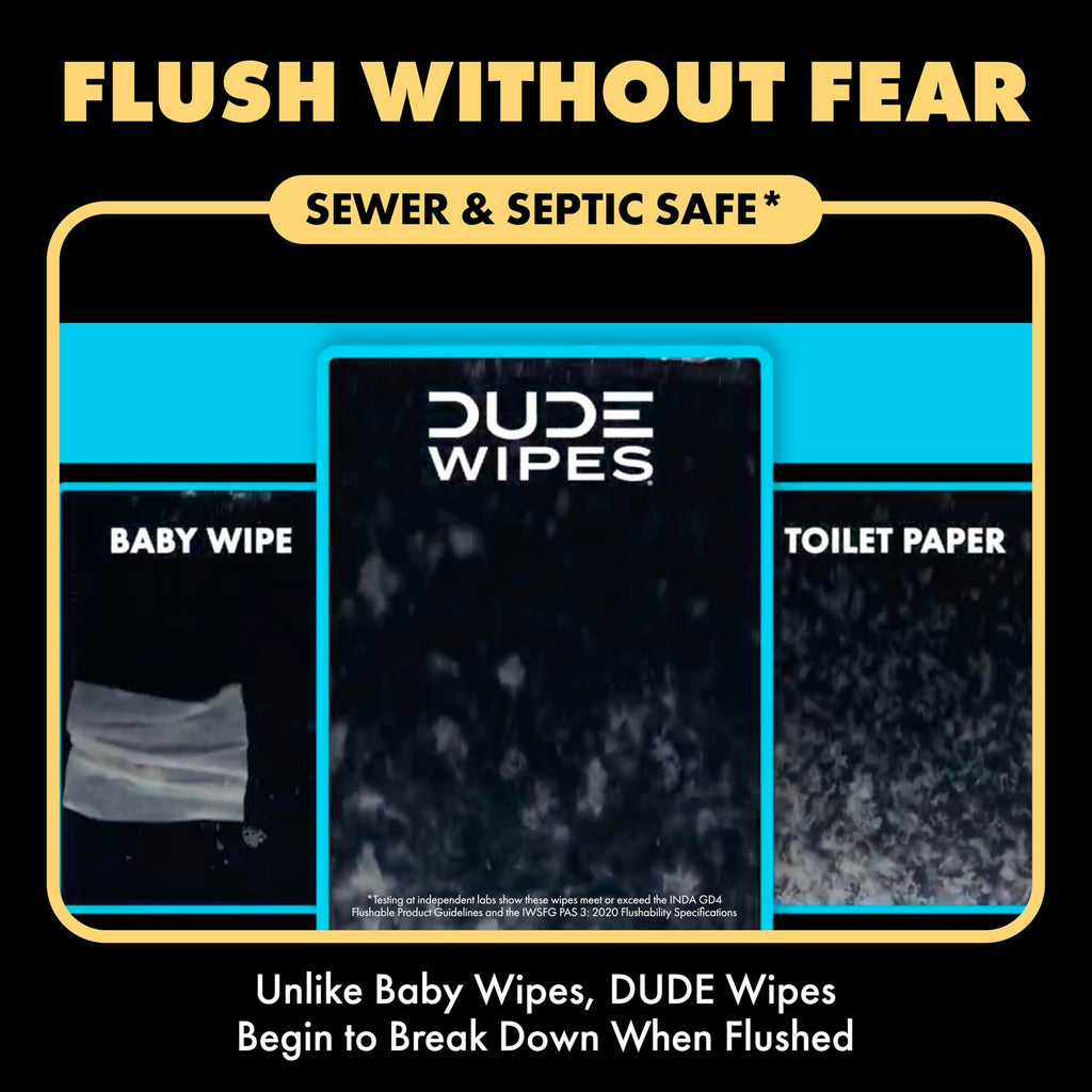 DUDE Wipes Shea BUTTer Adult Flushable Wet Wipes, Moisturizing, 288 Count