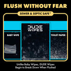 DUDE Wipes Shea BUTTer Adult Flushable Wet Wipes, Moisturizing, 288 Count