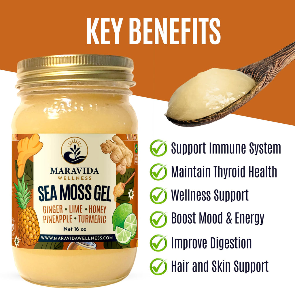 Maravida Wellness Sea Moss Gel – Pineapple, Lime, Honey, Ginger & Turmeric – 100% Natural Raw Organic Irish Moss – 16oz Jar – Premium Superfood for Everyday Wellness
