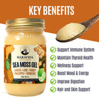 Maravida Wellness Sea Moss Gel – Pineapple, Lime, Honey, Ginger & Turmeric – 100% Natural Raw Organic Irish Moss – 16oz Jar – Premium Superfood for Everyday Wellness