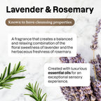 ATTITUDE Window & Mirror Cleaner Spray, Plant-Based Ingredients, EWG Verified, Streak Free, Removes Fingerprints, Dust and Dirt, Lavender & Rosemary, 26 Fl Oz (Pack of 3)