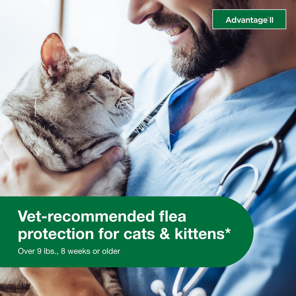 Advantage II Large Cat Topical Flea Treatment & Prevention, 4ct