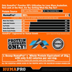 ALR Industries Humapro | Amino Acids Protein Matrix for Humans | 99% Utilization for Lean Muscle | Vegan, Gluten Free | 334g / 45 Servings (Southern Sweet Tea)