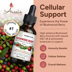 Aussie Pure Blushwood Berry EBC-46 Human Therapy Tincture – Immune & Cell Defense Supplement – Natural Antioxidant – Alcohol-Free, Vegan Glycerin Formula – Oral & Topical Use – 120ML