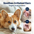 Vetnique Oticbliss Cat & Dog Ear Infection Treatment | Dog Ear Allergy Relief Drops, MicroSilver Yeast Infection Treatment for Dogs, Hydrocortisone for Itching, Redness Swelling (Ear Infection Drops)