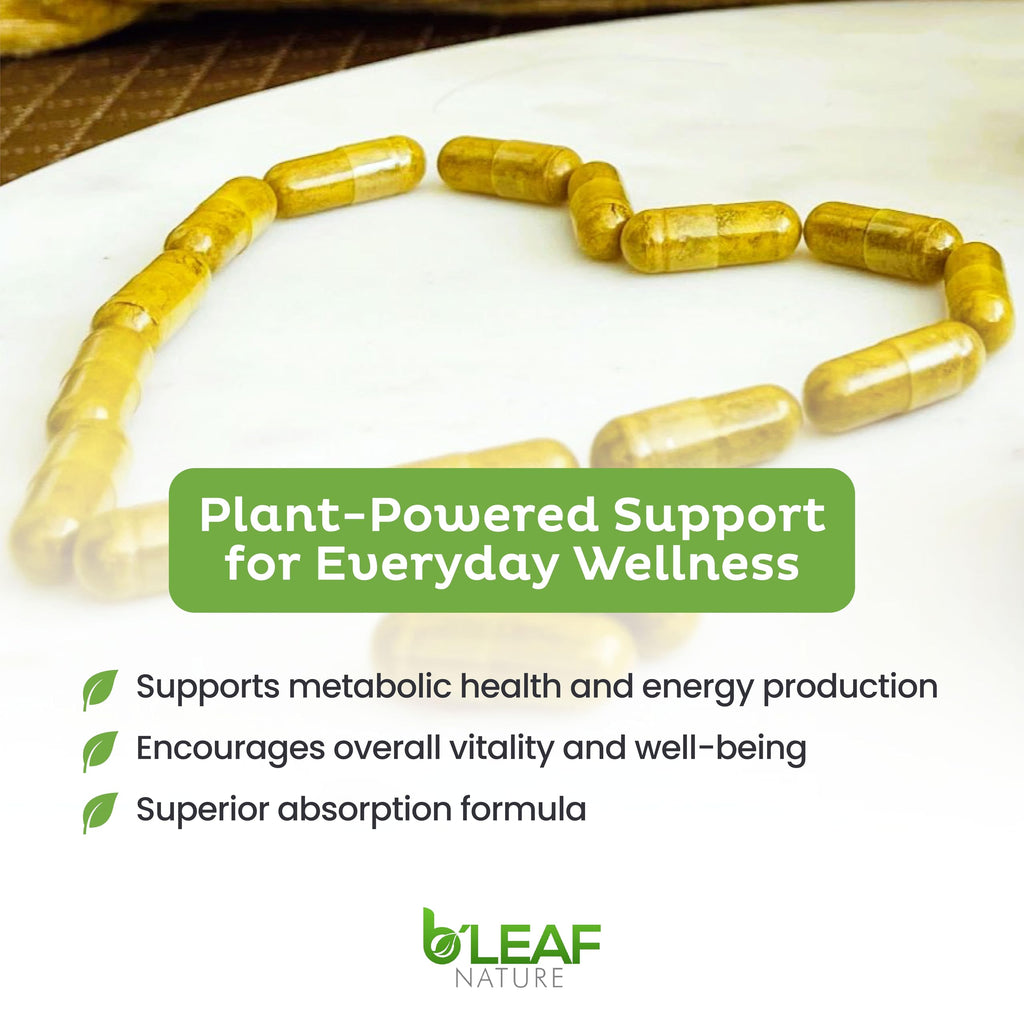 B’Leaf Nature Berberine Phytosome, 120 Capsules – 1100mg Berberine Supplement for Metabolic and Cardiovascular Support – Vegan, Gluten-Free, Non-GMO Berberine Phytosome Capsules for Immune Wellness