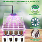 Seed Starter Trays with Grow Light Kit, 2 Pack Plant Greenhouse Propagator