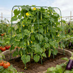 Tegarbed 48x46 in U-Shape Cucumber Trellis for Climbing Plants Outdoors