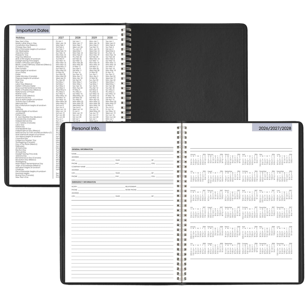 AT-A-GLANCE 2027 Appointment Book Planner, Weekly, 8" x 11", Quarter-Hourly, DayMinder, Black (G5200027)