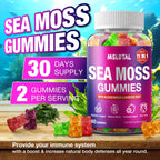 MSLOTAL Irish Sea Moss Gummies with Black Seed Oil, Ashwagandha Bladderwrack and Burdock Root, Organic Sea Moss Gummies for Women and Men with Shilajit, Immune Support, Vegan, 120 Gummies Totalss