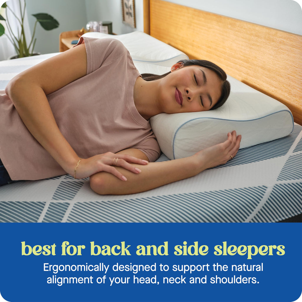 SEALY Dreamlife Standard Size Contour Memory Foam Pillow with Surface Guard Technology, Removable Machine-Washable Cover, 1 Year Limited Warranty