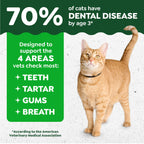 Greenies Feline Natural Dental Cat Treats, Roasted Chicken Flavor, 21 oz